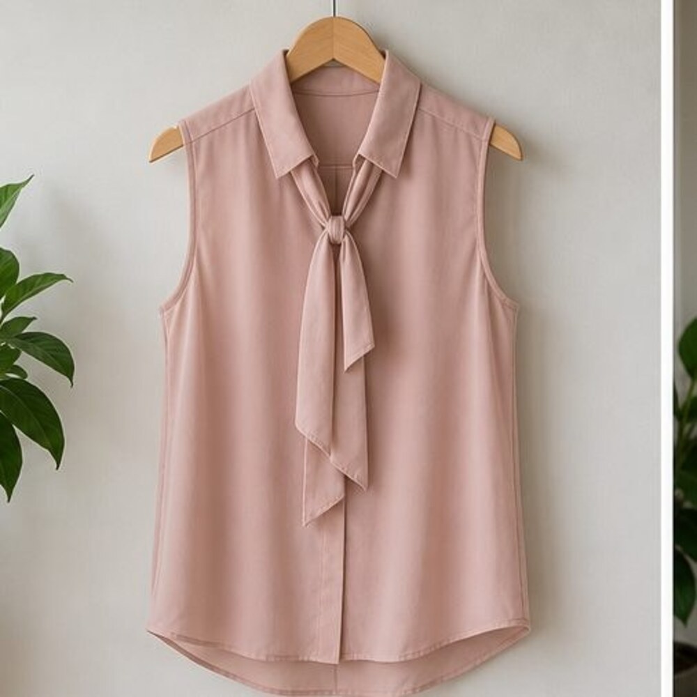 Blush V Neck Top